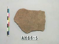 藏品(褐色夾砂陶片)的圖片